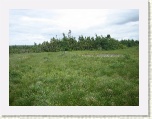Bog on French Mtn - Cabot Trail, Cape Breton * 2592 x 1944 * (1.73MB)